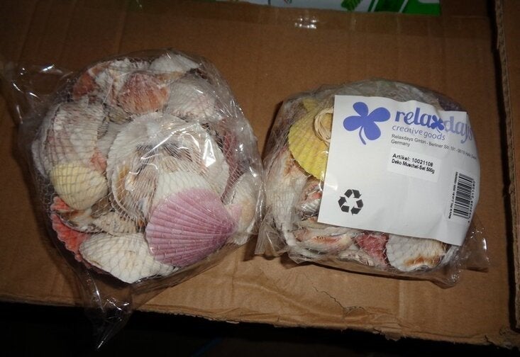 Partij relaxdays deco schelpenset 500 gram, ., Nieuw, Ophalen of Verzenden, .