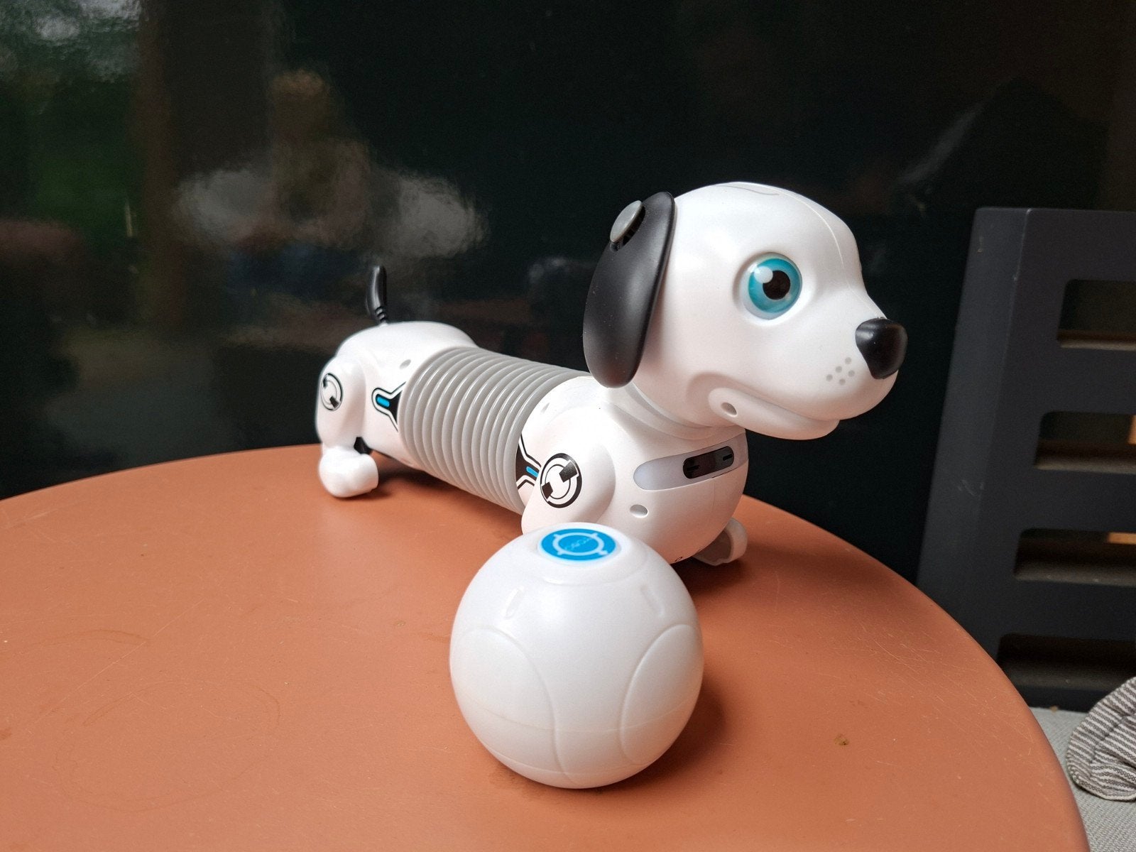 Interactieve robot hond met bal voor Sint - verjaardag!, Ophalen of Verzenden, Zo goed als nieuw, Jongen of Meisje