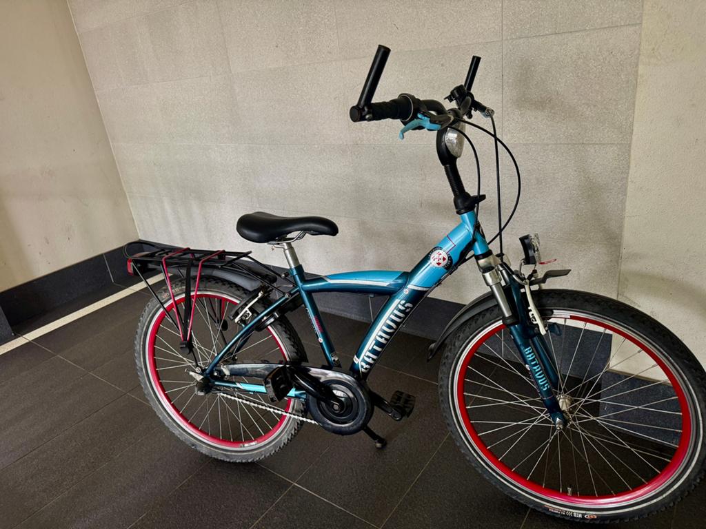 Batavus snake 24 inch, Ophalen of Verzenden, Gebruikt, 24 inch, Versnellingen