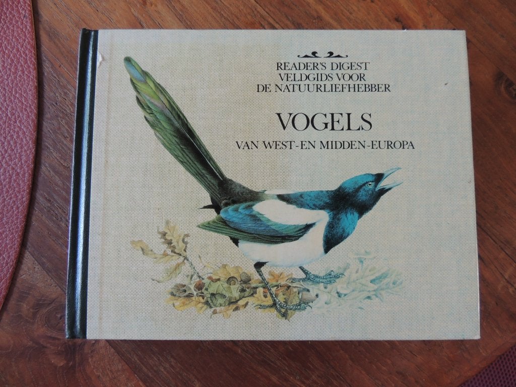 Vogels, Meerdere dieren, Parkiet
