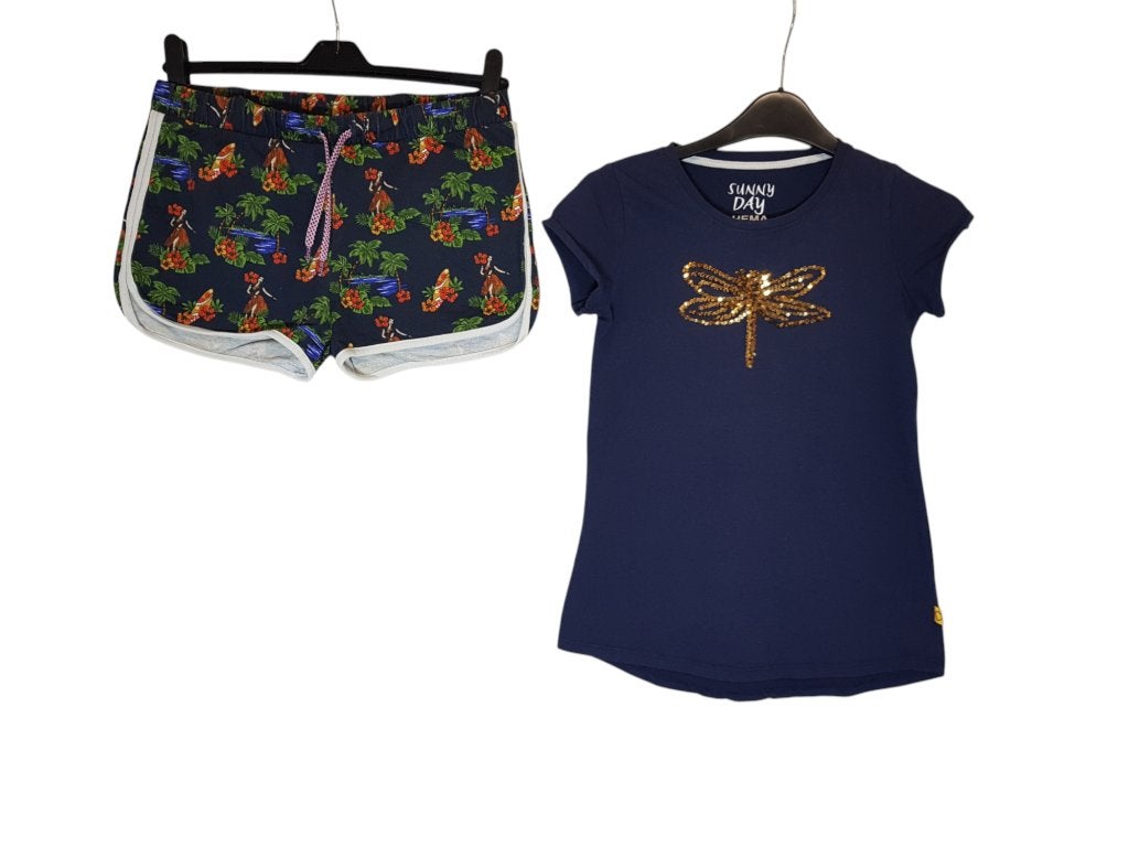 Gaaf blauw HEMA vlinder shirt maat 158-164., Kinderen en Baby's, Kinderkleding | Maat 158, Zo goed als nieuw, Shirt of Longsleeve