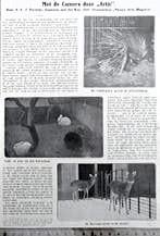 Artis 1913; art. Met de camera door artis met dhr. Portielje, Verzenden, Voor 1940, Gebruikt, Overige onderwerpen