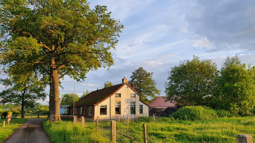 Mini camping met kleinvee in Oost Groningen, Huisdier toegestaan, Landelijk