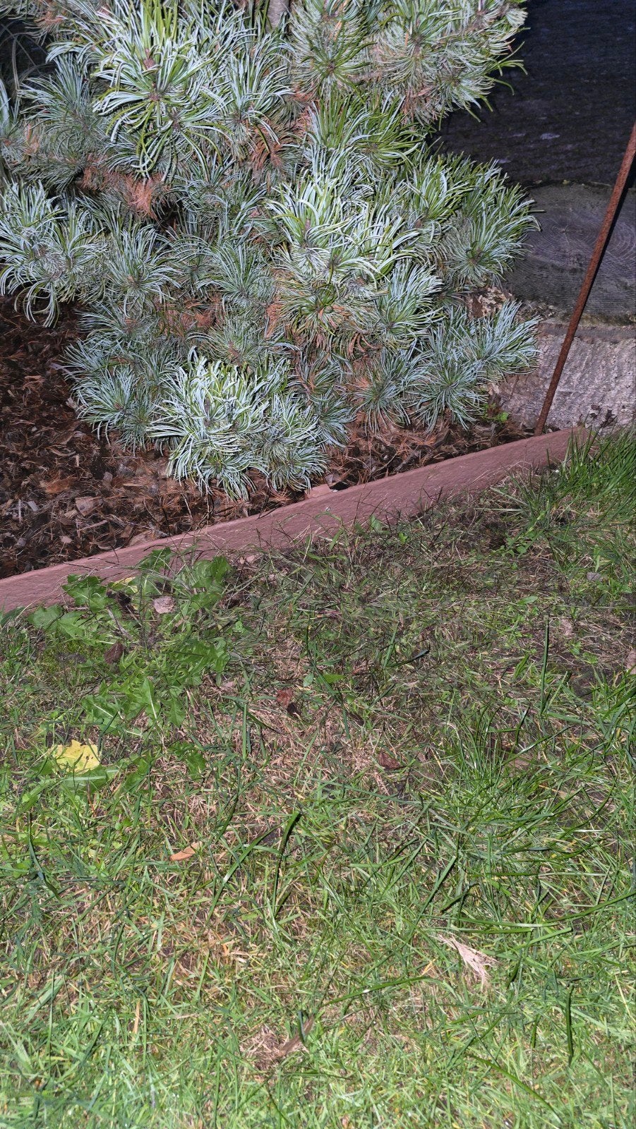 Composiet borderrand met piketpaaltjes, Tuin en Terras, Ophalen, Kunststof, Gebruikt, 200 cm of meer