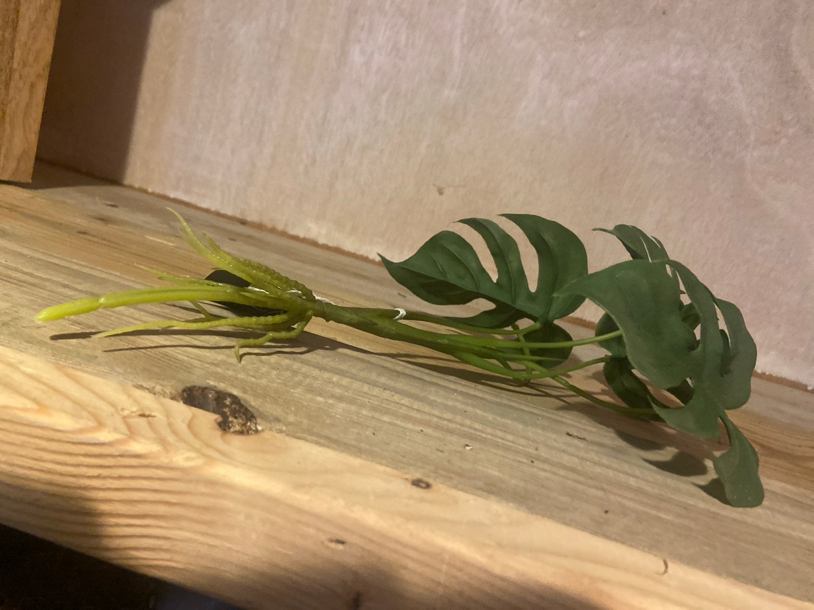12x Kunstplantje Monstera Deliciosa - Decoratief, Binnen, Groen, Kunstplant, Nieuw