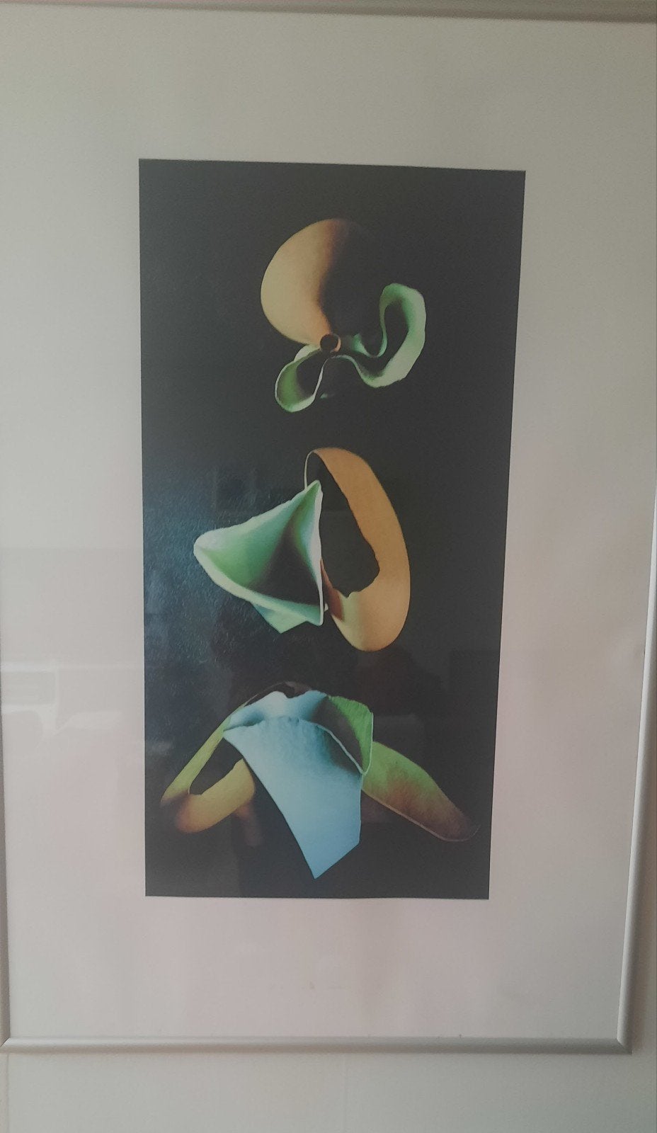 schilderij Hiroe Okubo, Antiek en Kunst, Ophalen