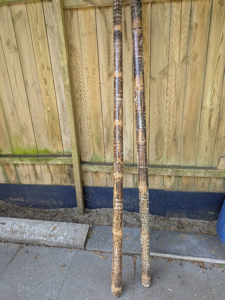 bamboe palen, Ophalen, Gebruikt, 220 cm, Decoratieobject