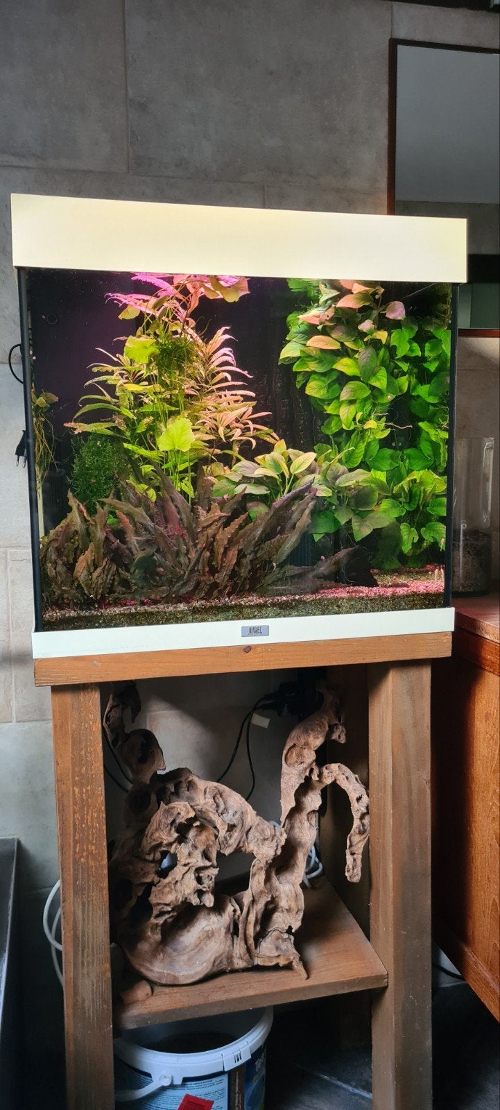 aquarium juwel lido 120, Ophalen, Gevuld zoetwateraquarium