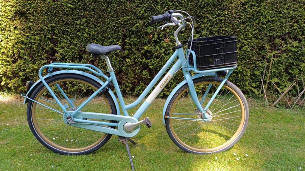 Giant triple x 51cm, Ophalen, Gebruikt, Versnellingen, Giant