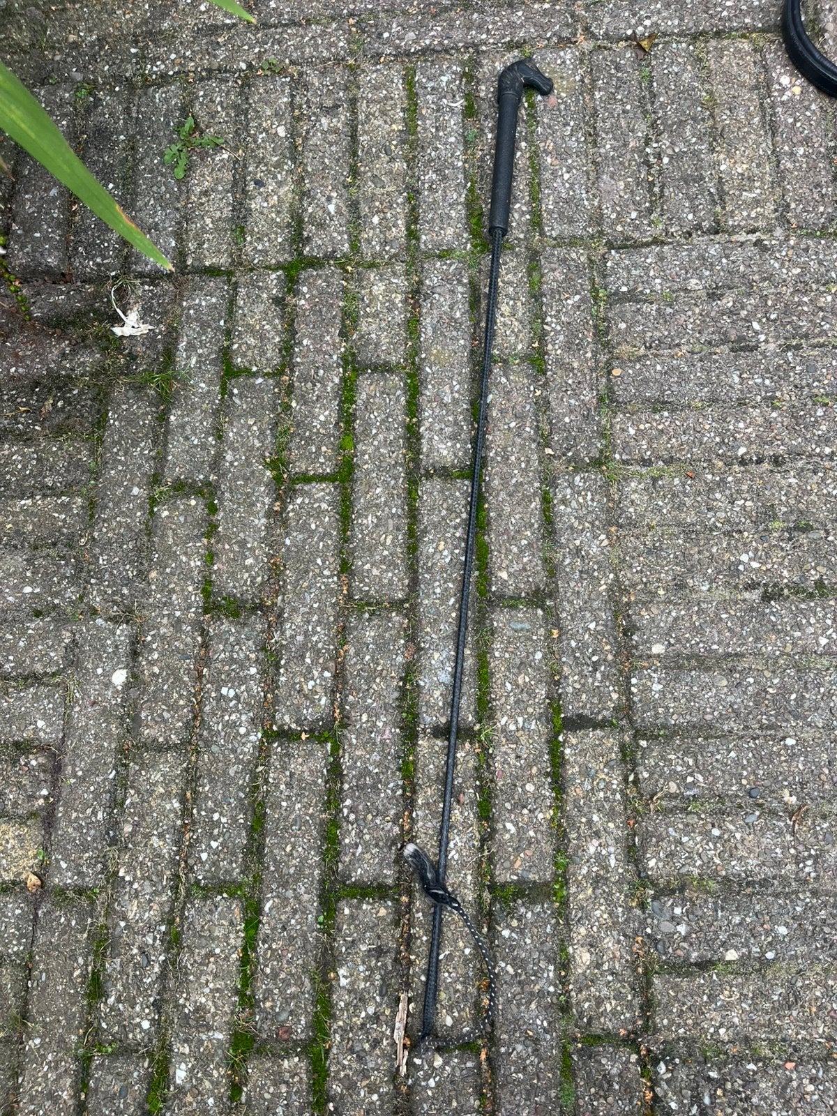 Paarden zweep zwart, Ophalen of Verzenden, Zo goed als nieuw