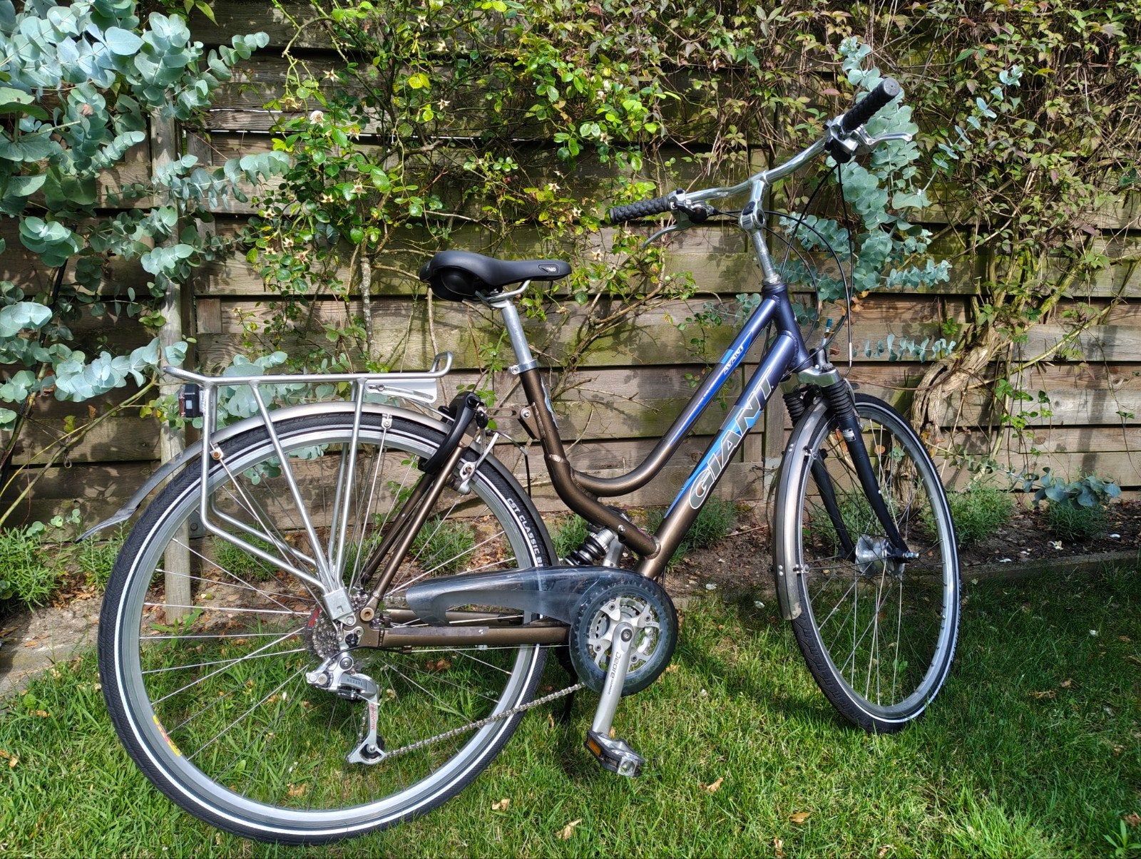 Giant Avant damesfiets, maat 50 cm, 24 versnellingen, Ophalen, Gebruikt, Velgrem, Versnellingen