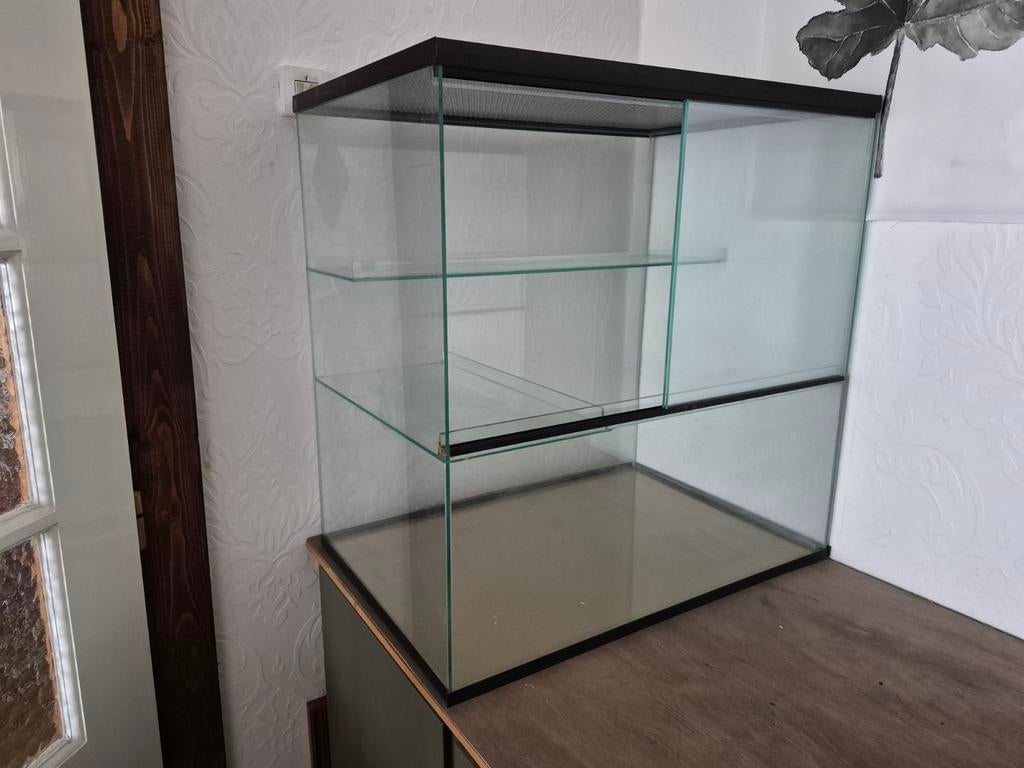 Queenies gerbilarium/terrarium met toebehoren 60x60x40, Ophalen, Minder dan 75 cm, Kooi, Minder dan 60 cm