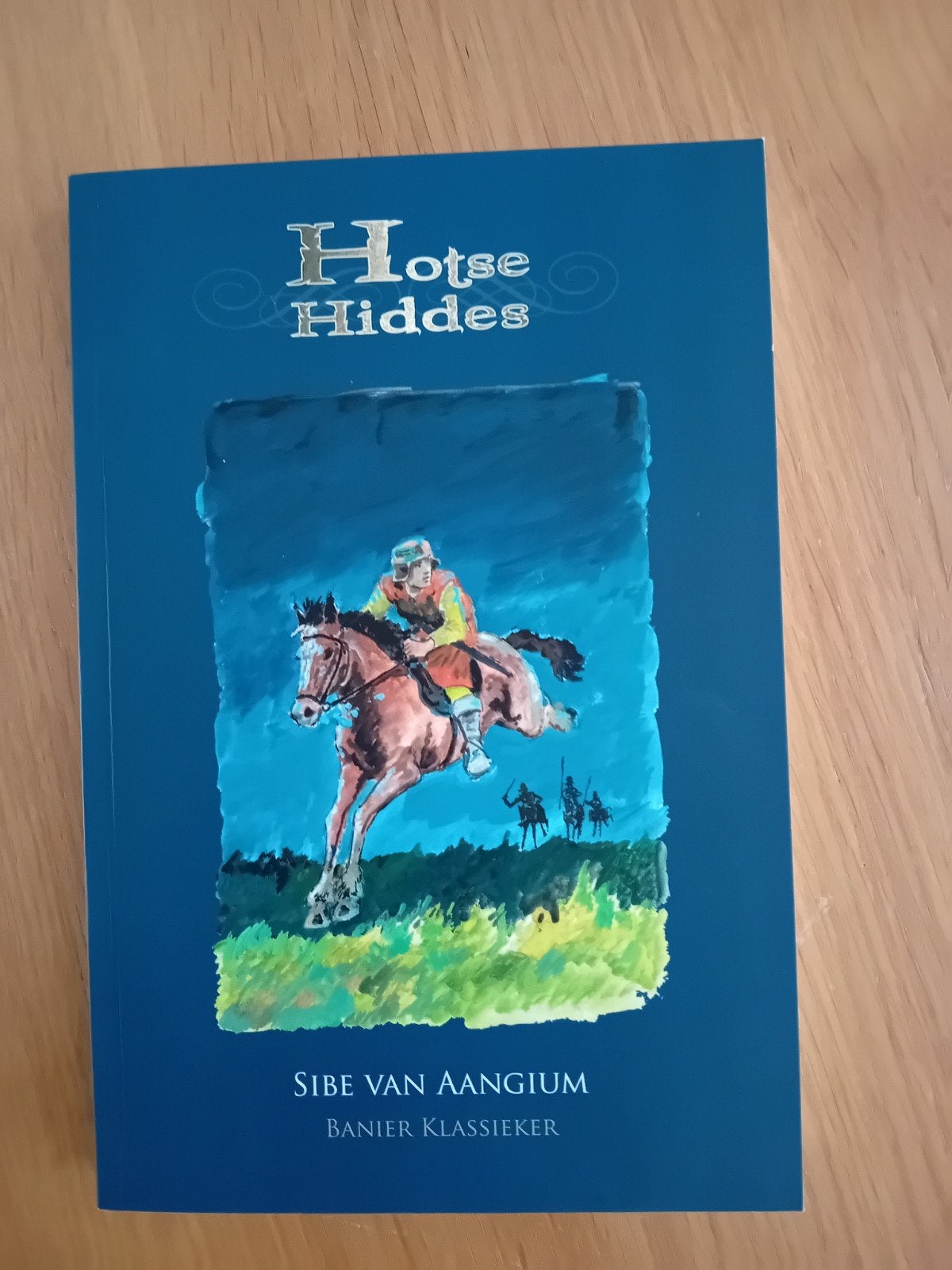 Sibe van Aangium - Hotse Hiddes, Ophalen of Verzenden, Zo goed als nieuw, Sibe van Aangium