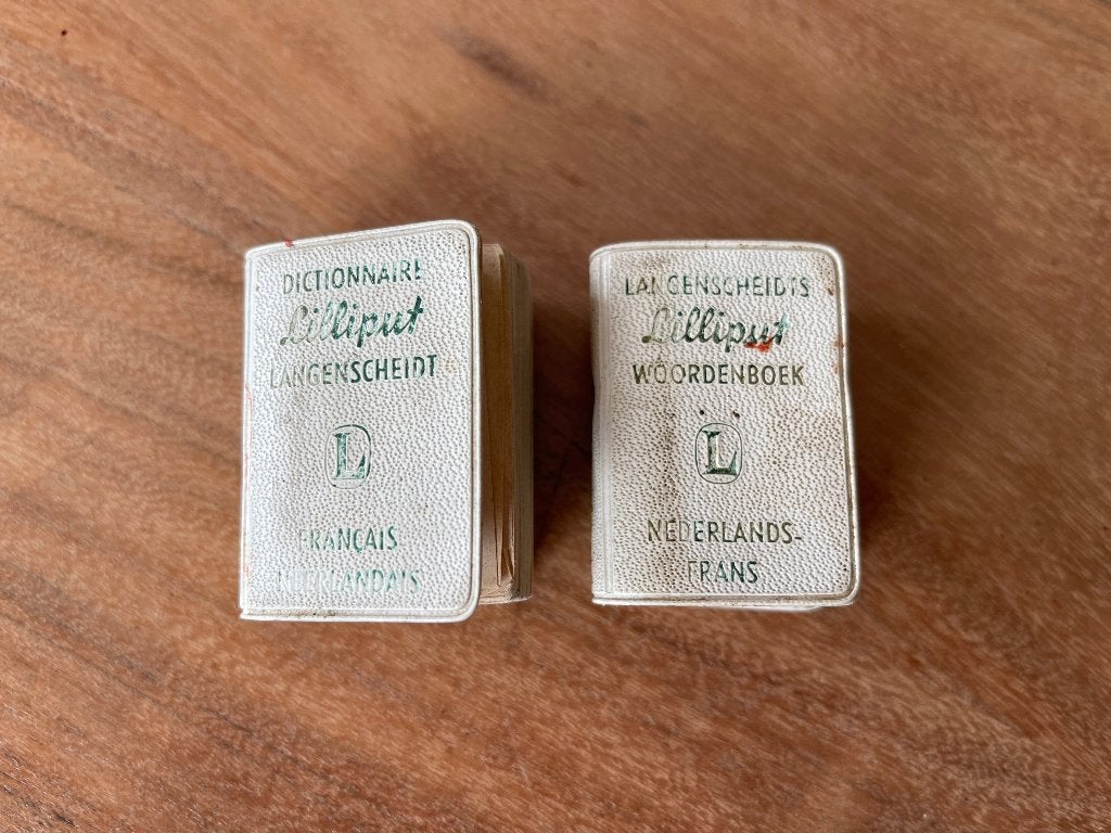 2 mini woordenboekjes, Gelezen, Verzenden, Overige uitgevers, Nederlands