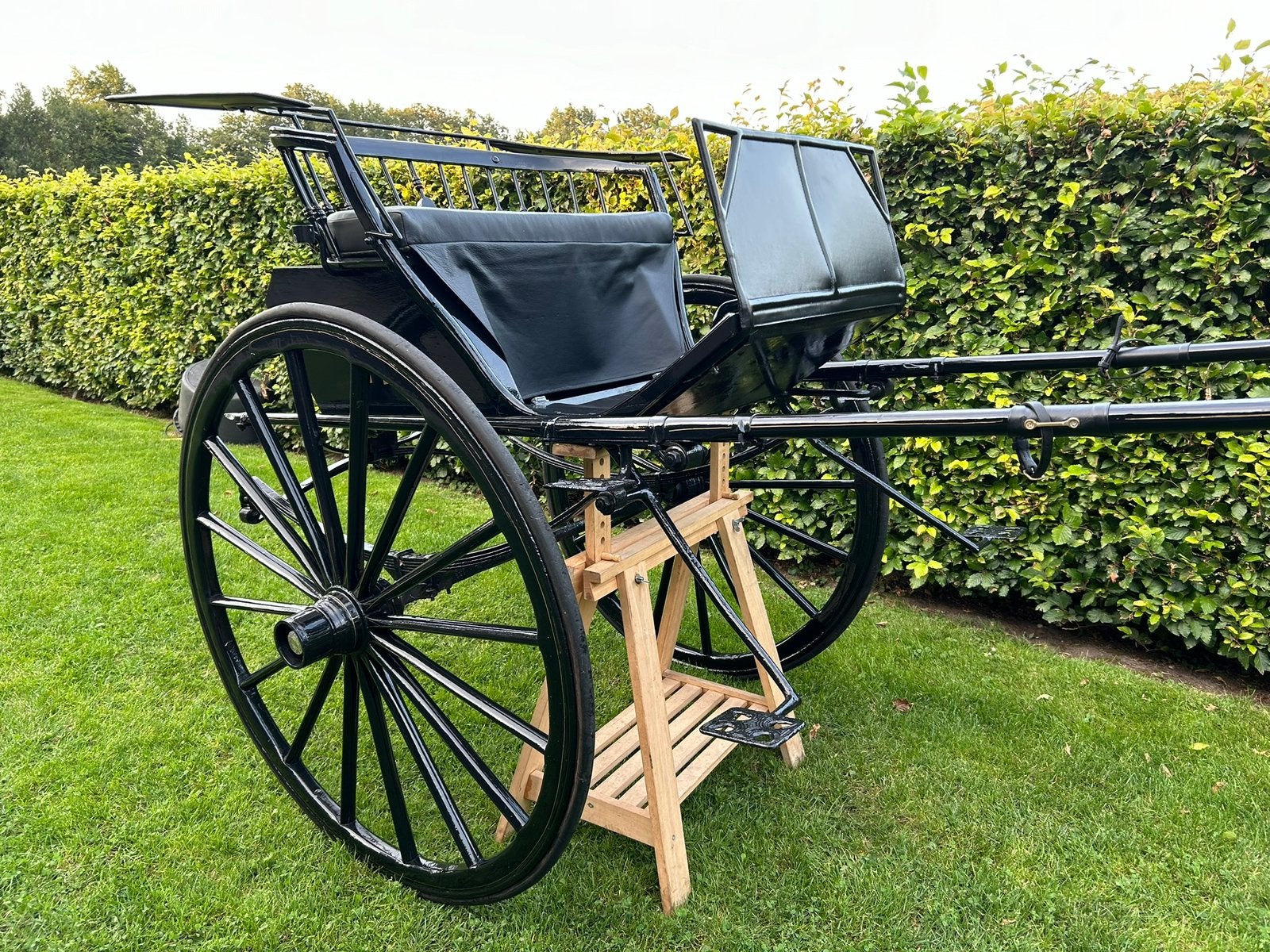 Tweewielig rijtuig / gig, Dieren en Toebehoren, Gebruikt, Overige typen, Paard of Pony