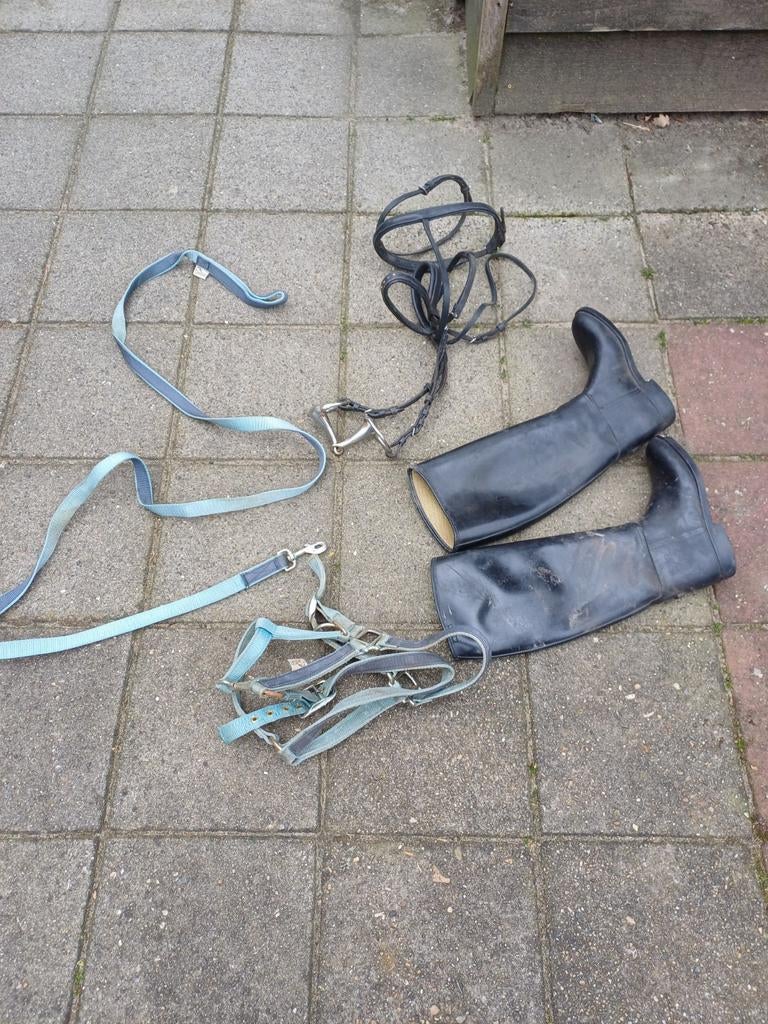 Paard, Ophalen, Overige soorten