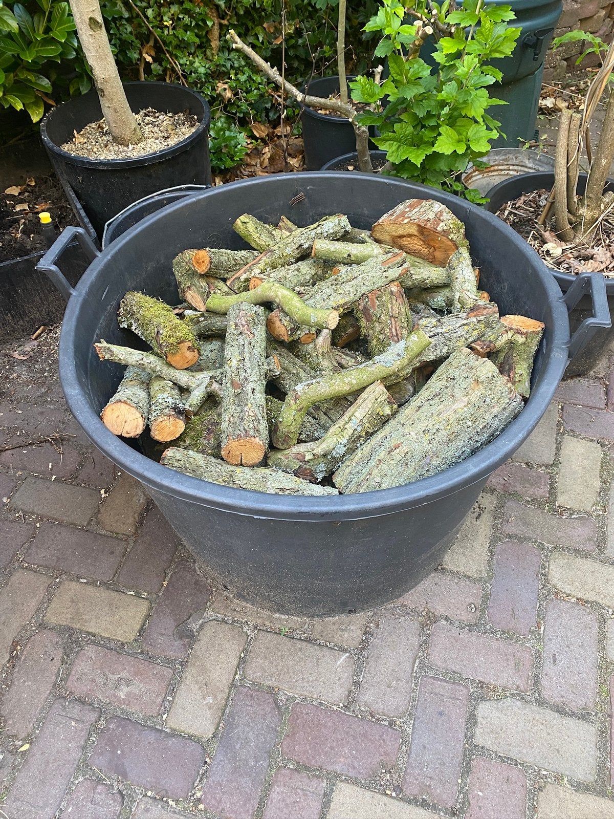Kleine hoeveelheid haardhout, Tuin en Terras, Minder dan 3 m³, Ophalen
