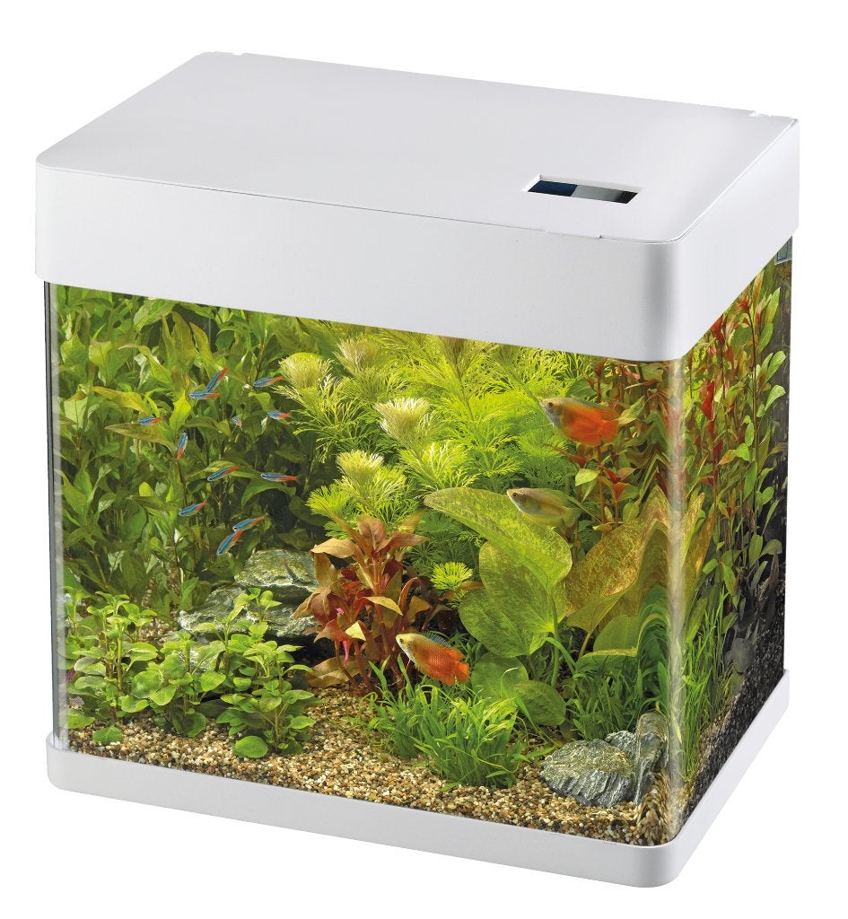 SuperFish aquarium Panorama, Ophalen, Nieuw, Leeg aquarium, Superfish