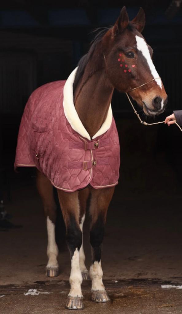 Profi rider luxe staldeken oud roze 205/200gr, Dieren en Toebehoren, Paarden en Pony's | Dekens en Dekjes, Full (L), Fluweel, Overige merken