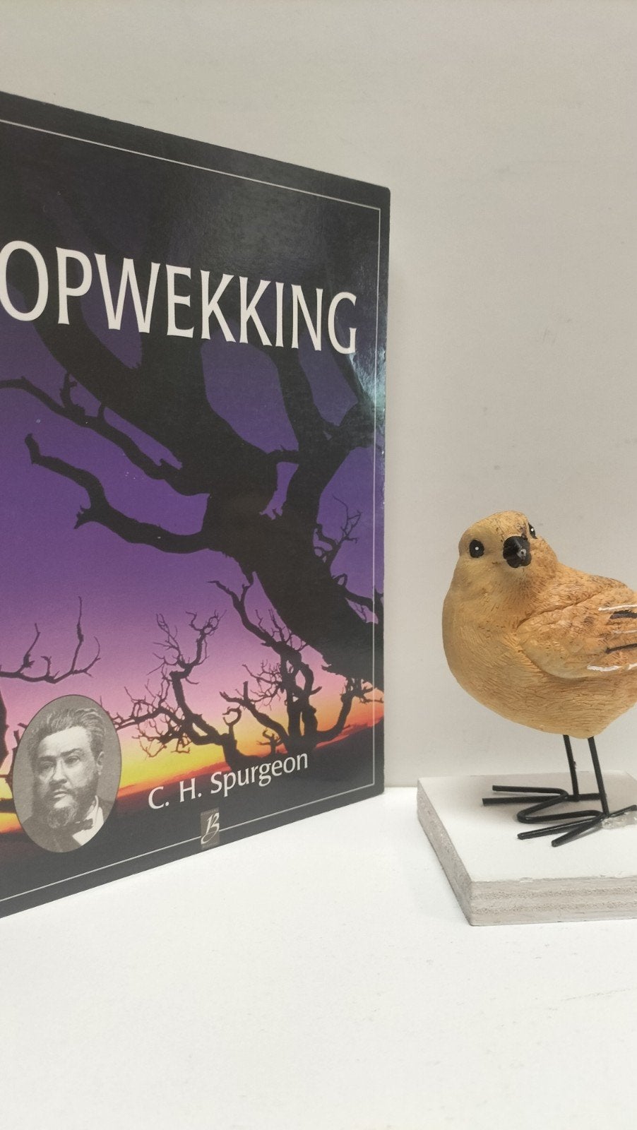 Spurgeon, C.H.; Opwekking (Boekhout nr 5), Ophalen of Verzenden, Gelezen, Christendom | Protestants