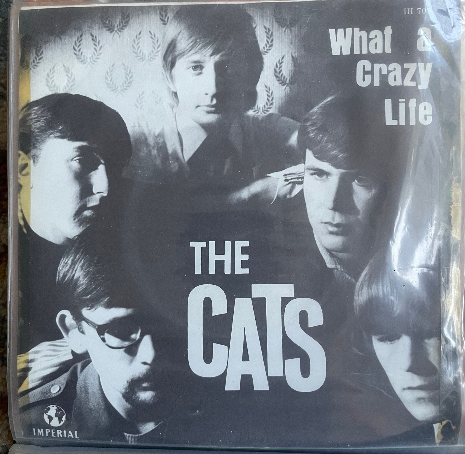 The Cats singles (22) verzameling in map, Cd's en Dvd's, Vinyl Singles, Verzenden, Zo goed als nieuw, Pop