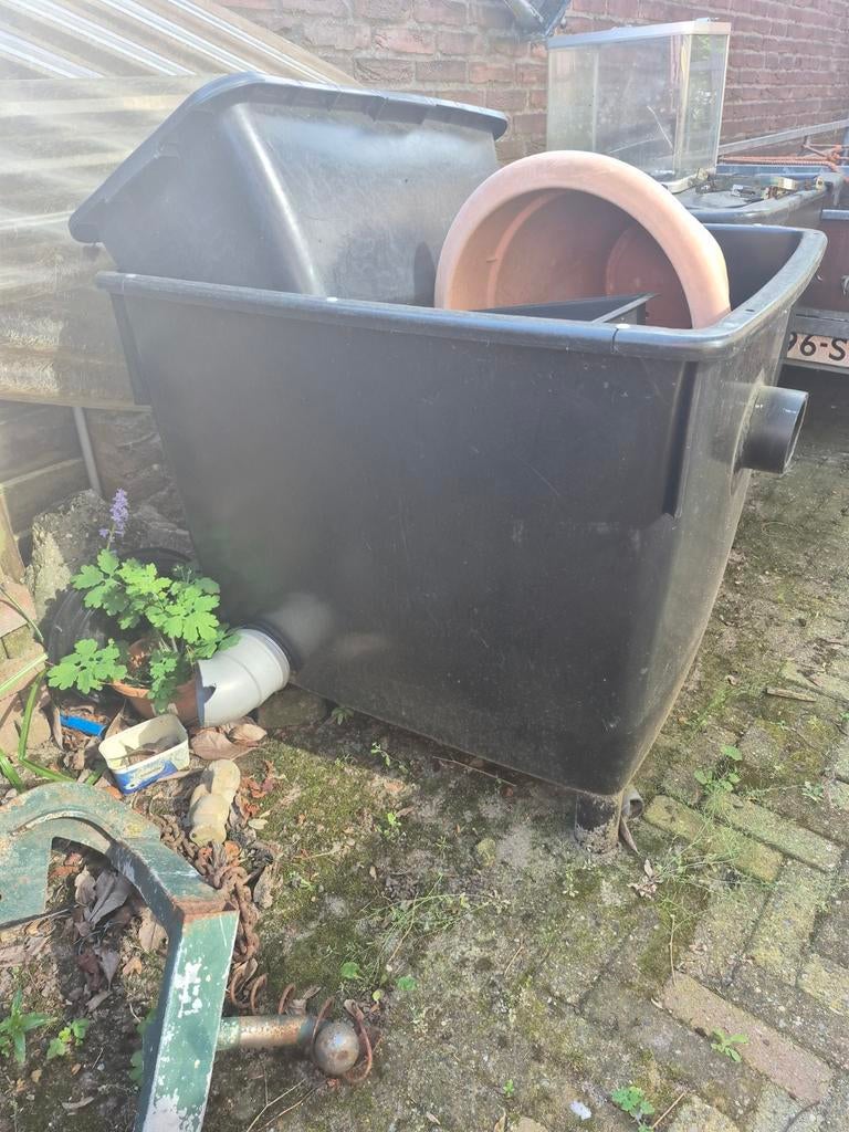 Filter bakken voor de vijver, Karper of Koi