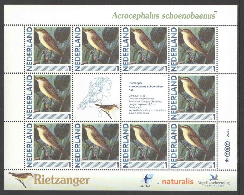 Postzegels Vogels in Nederland: Rietzanger, Ophalen of Verzenden, Na 1940, Postfris