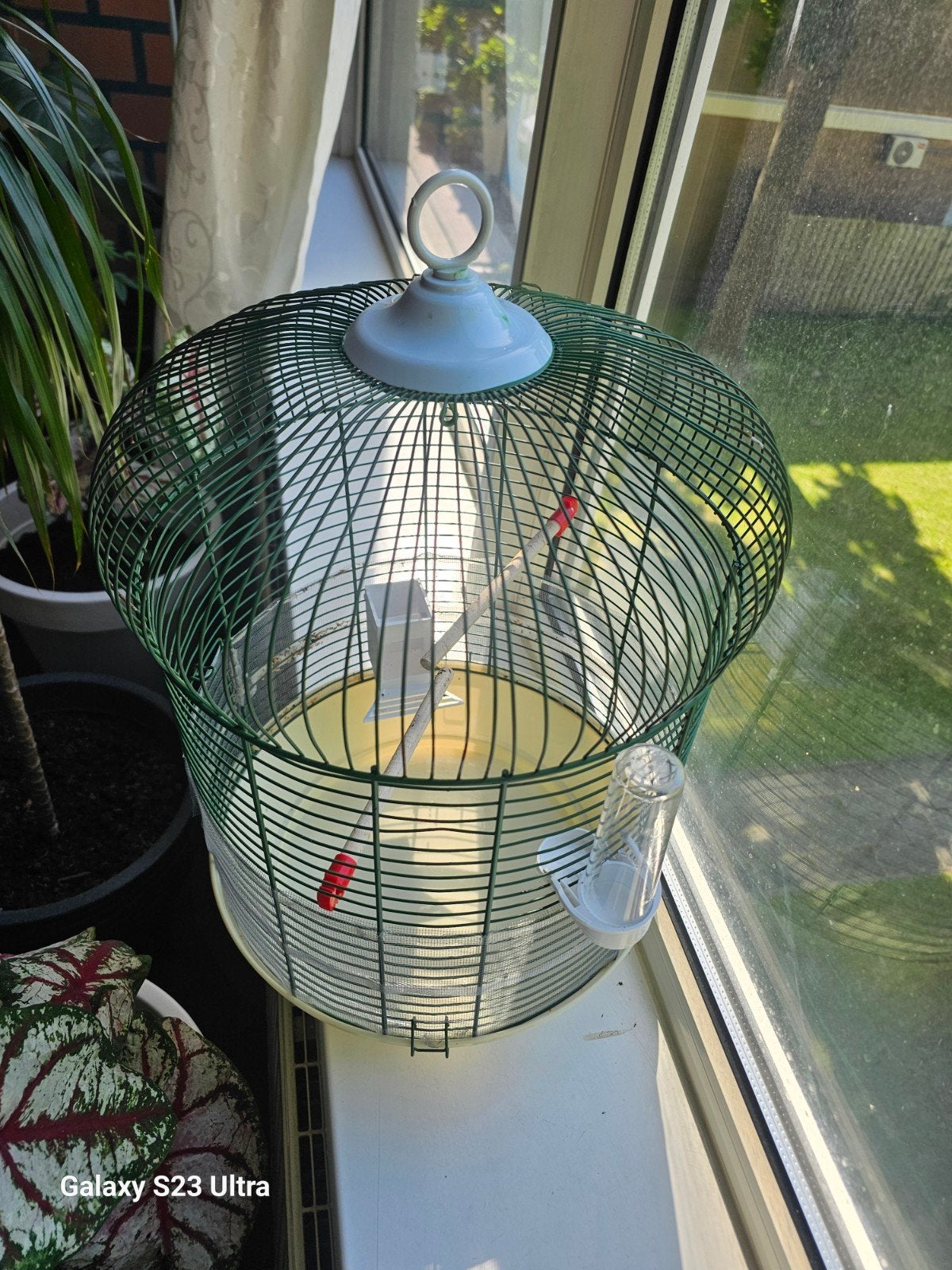 mooie  kooi te koop, Ophalen of Verzenden, Zo goed als nieuw, Metaal, Vogelkooi