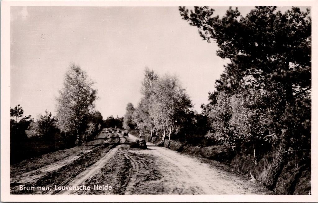 Brummen - Leuvensche Heide, Verzenden, 1940 tot 1960, Ongelopen, Gelderland