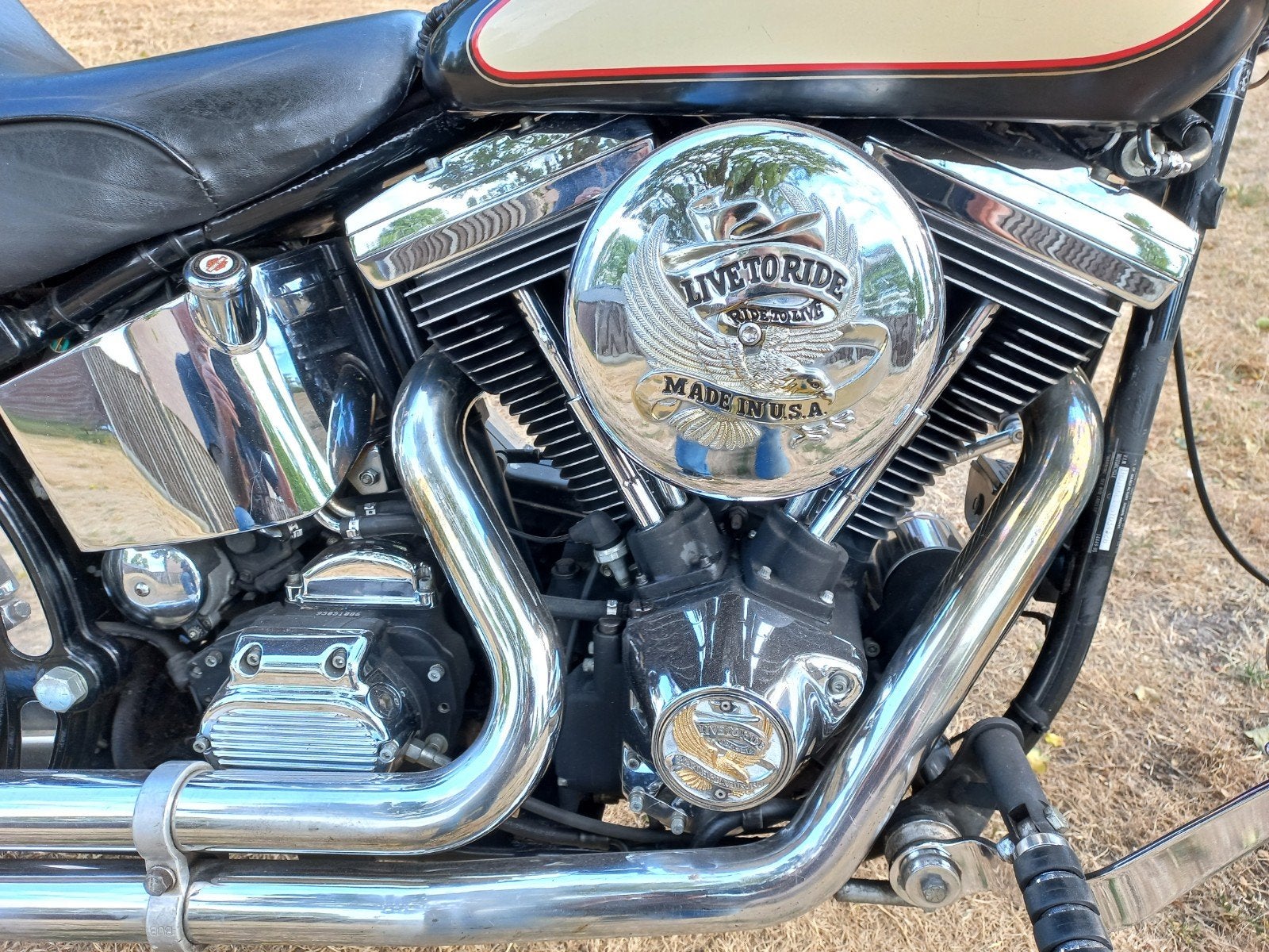 harley davidson fxstc  softail custom 1995 evo 2 1340, Motoren, Motoren | Harley-Davidson, 2 cilinders, Gebruikt, Particulier