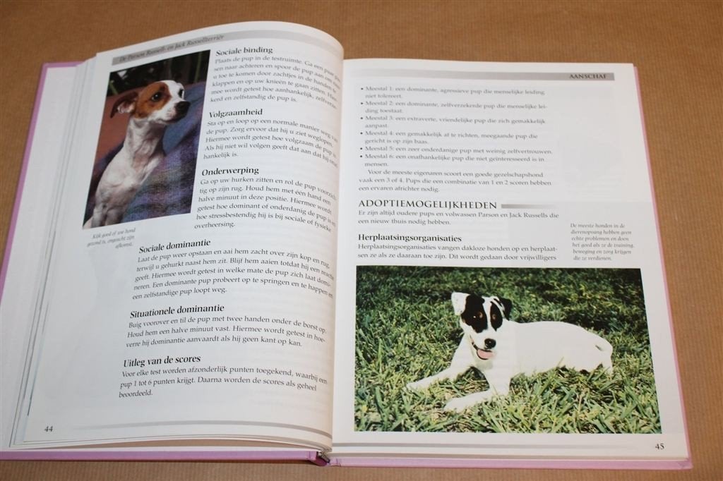 Parson/Jack Russell Terriër — Verzorging en Training — Gids, Ophalen of Verzenden, Gelezen, Honden