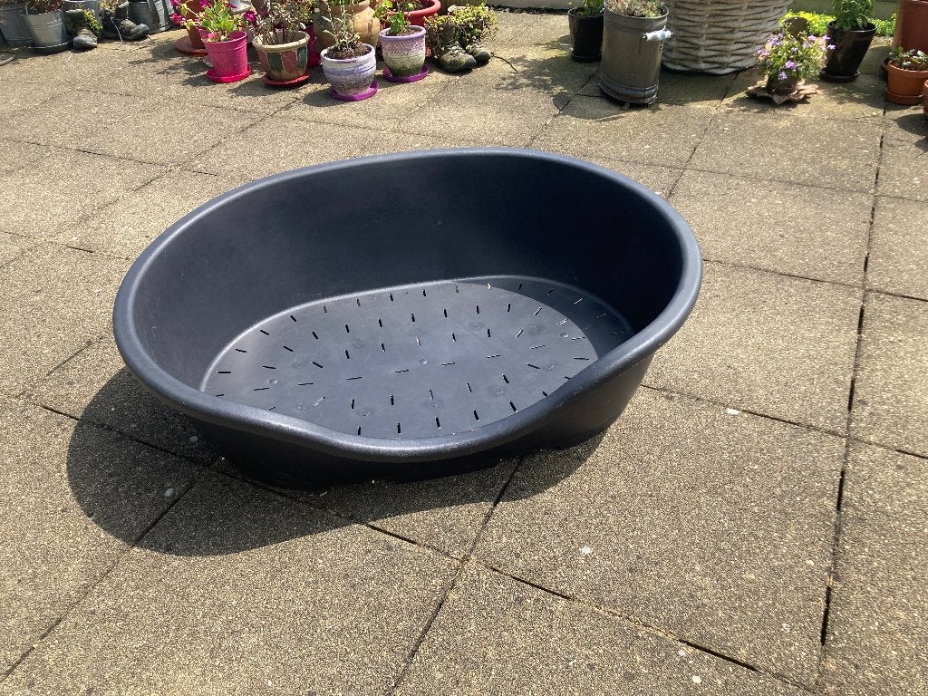 Grote kunststof hondenmand, Ophalen, Gebruikt, Overige