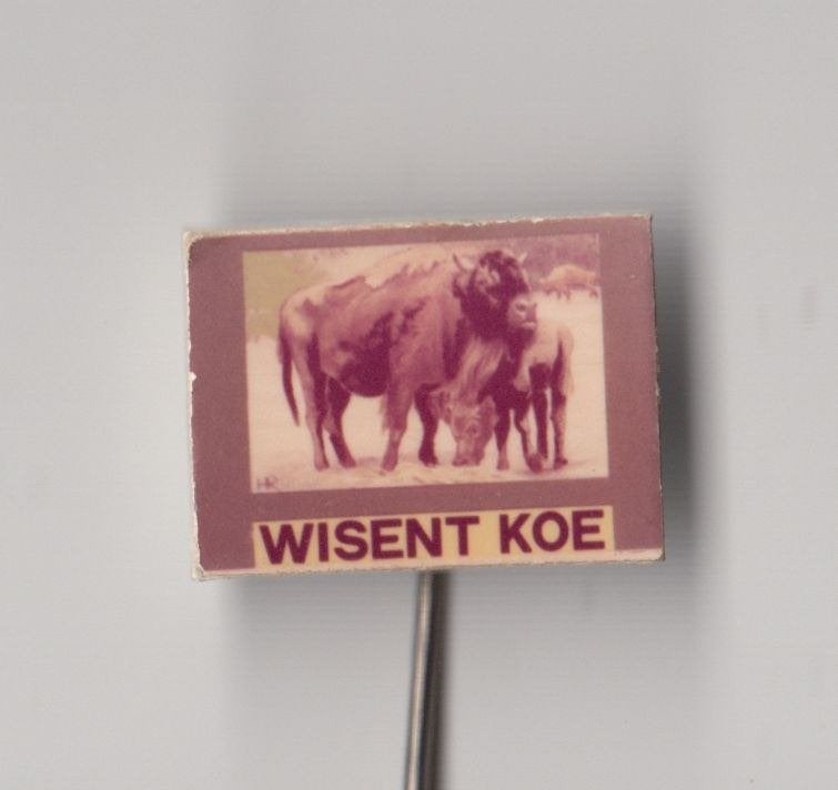 Dier Wisent Koe speldje, Gebruikt, Niet vindbaar, Niet vindbaar, Speldje of Pin