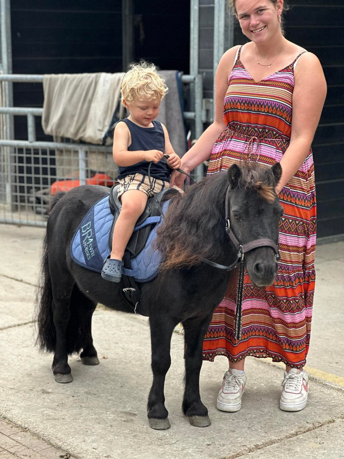 Zeer lieve zwarte shetlander 85 cm, Dieren en Toebehoren, Pony's, Ruin, A pony (tot 1.17m), 11 jaar of ouder, Gechipt, Ontwormd