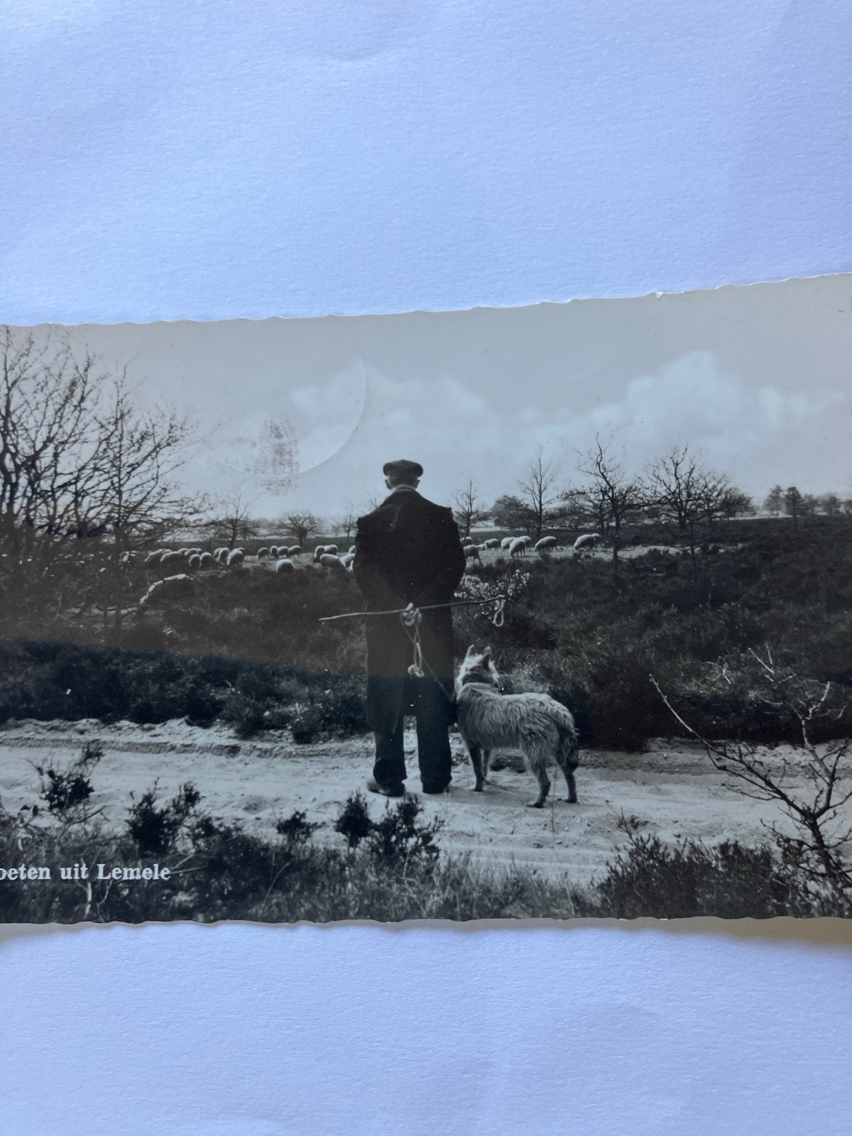 Oude Ansichtkaart Lemele: Herder met schapen en hond, Ophalen of Verzenden, Voor 1920, Gelopen, Overijssel