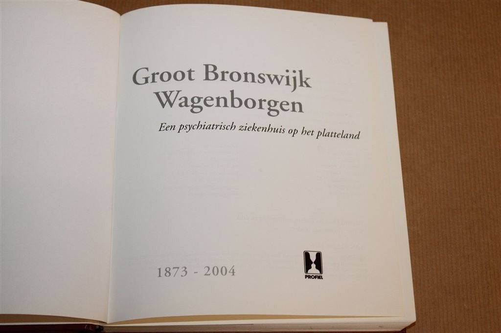 Groot Bronswijk Wagenborgen — Psychiatrie op het Platteland, Ophalen of Verzenden, Gelezen