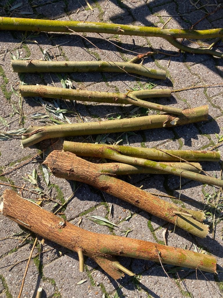 Natuurlijke knaag blokken diervoeder, Ophalen, Knaagdier of Konijn