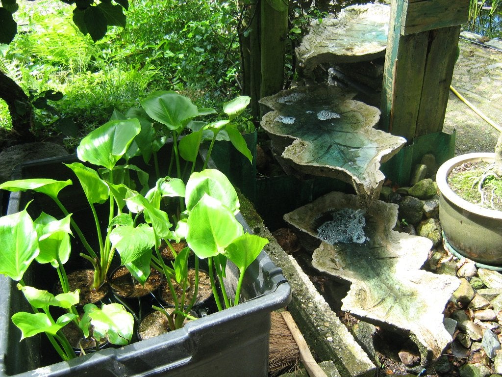 Waterval / waterornament nu voor maar 15 euro!, Ophalen, Nieuw, Beton, Waterval