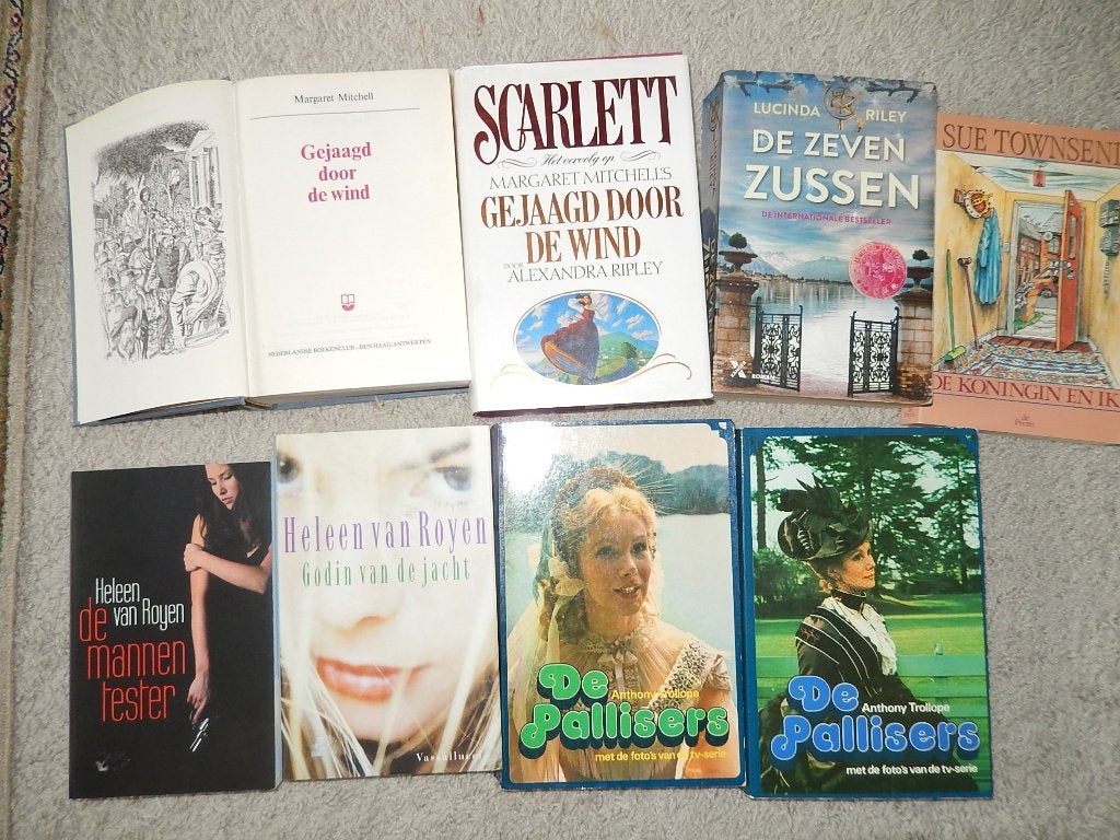 Gejaagd dd Wind Mitchell vervolg Scarlett Ripley voor €3,90, Ophalen of Verzenden, Zo goed als nieuw, Mitchell Ripley Montefiore Weisberger