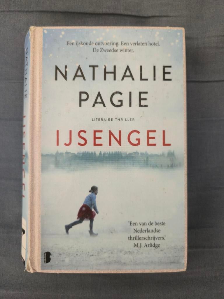 Ijsengel - Nathalie Pagie (thriller), Ophalen of Verzenden, Gelezen, Nathalie Pagie, Nederland