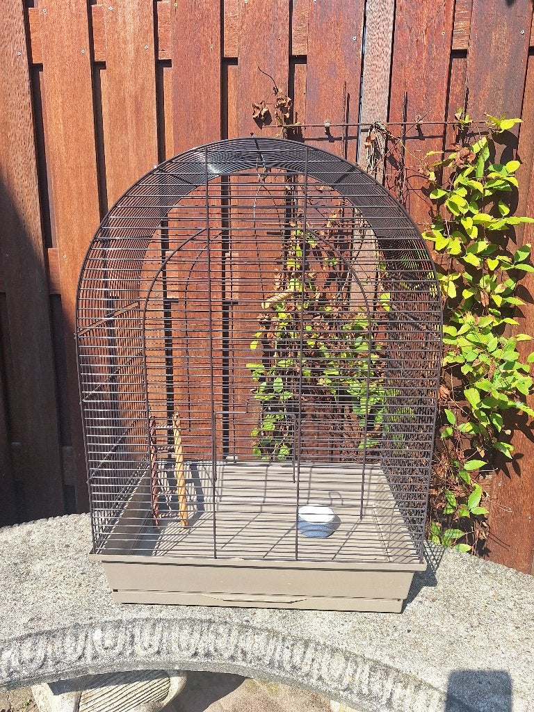 Vogelkooi zwart, Ophalen, Zo goed als nieuw, Metaal, Vogelkooi