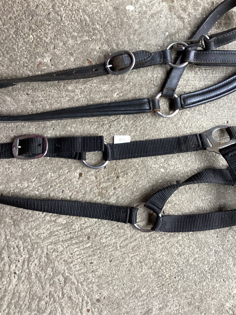 3 halsters voor een paard, Dieren en Toebehoren, Nieuw, Halster, BR, Ophalen of Verzenden