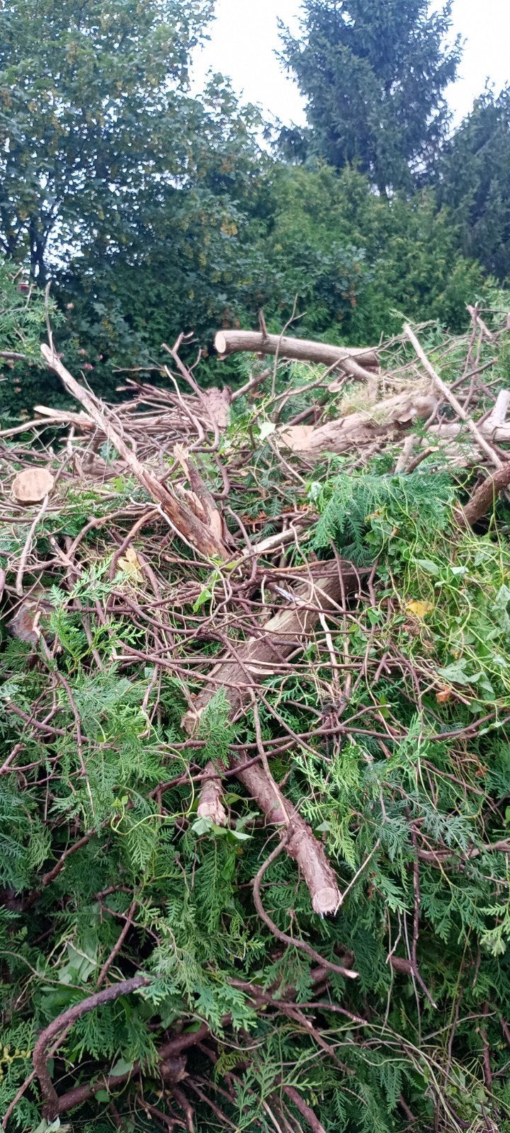 Snoeihout, 6 m³ of meer, Ophalen, Overige houtsoorten