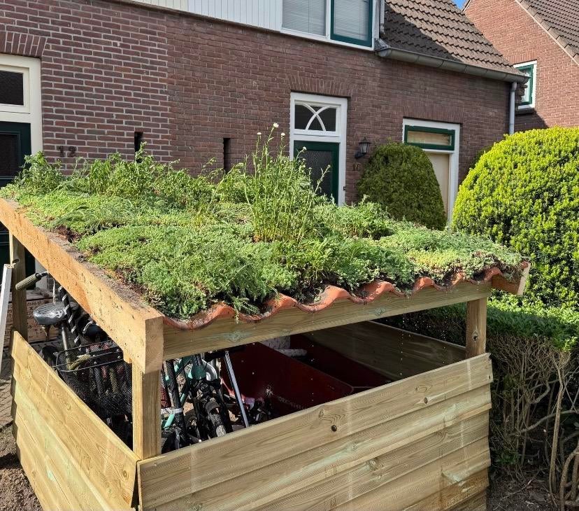 Sedum groendak kruiden matten tuin 80x120cm €25,00 pst, Ophalen of Verzenden, Volle zon