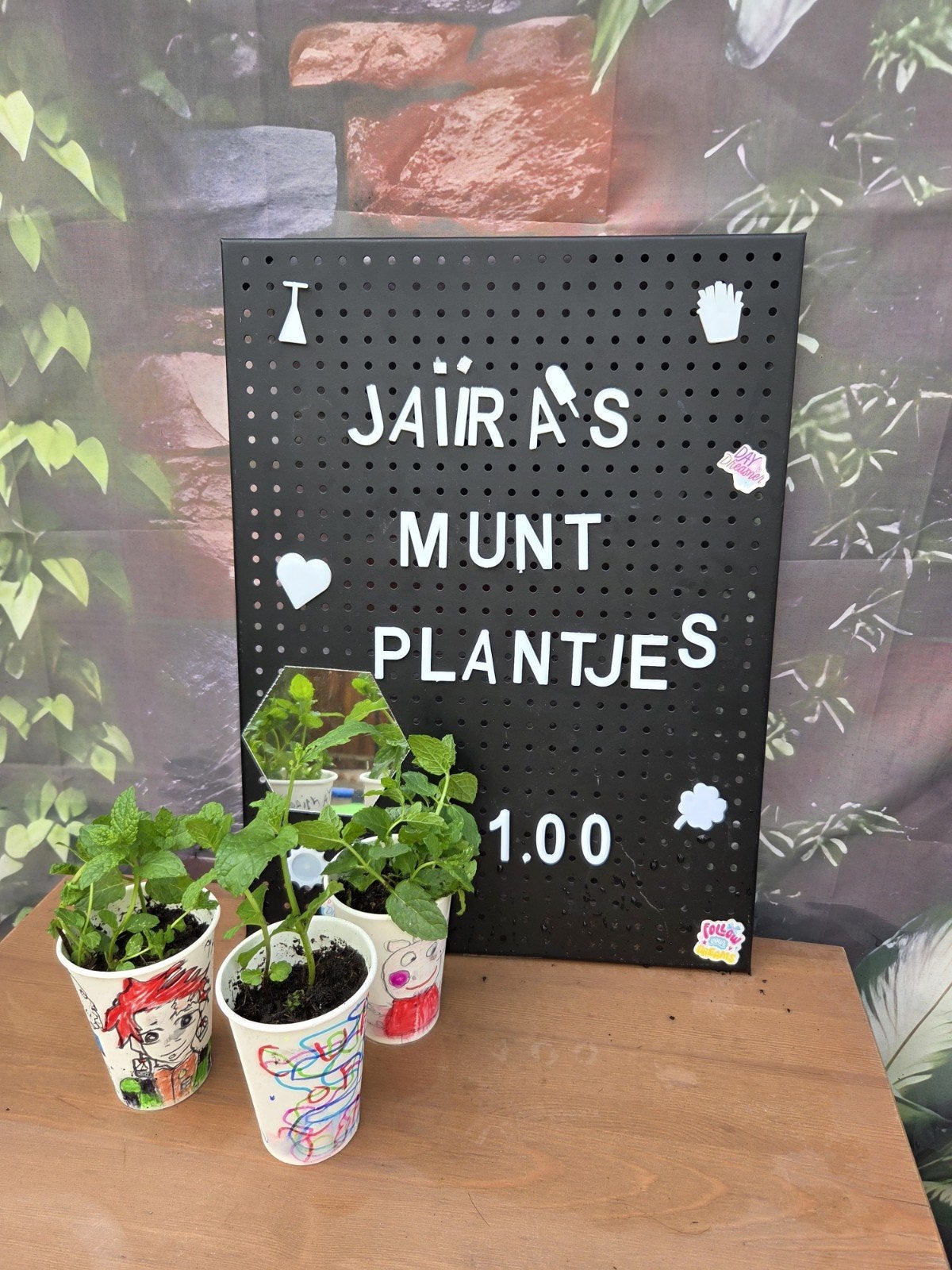 Verse muntplantjes met unieke tekening - €1 per beker, Ophalen, Eenjarig, Overige soorten, Volle zon