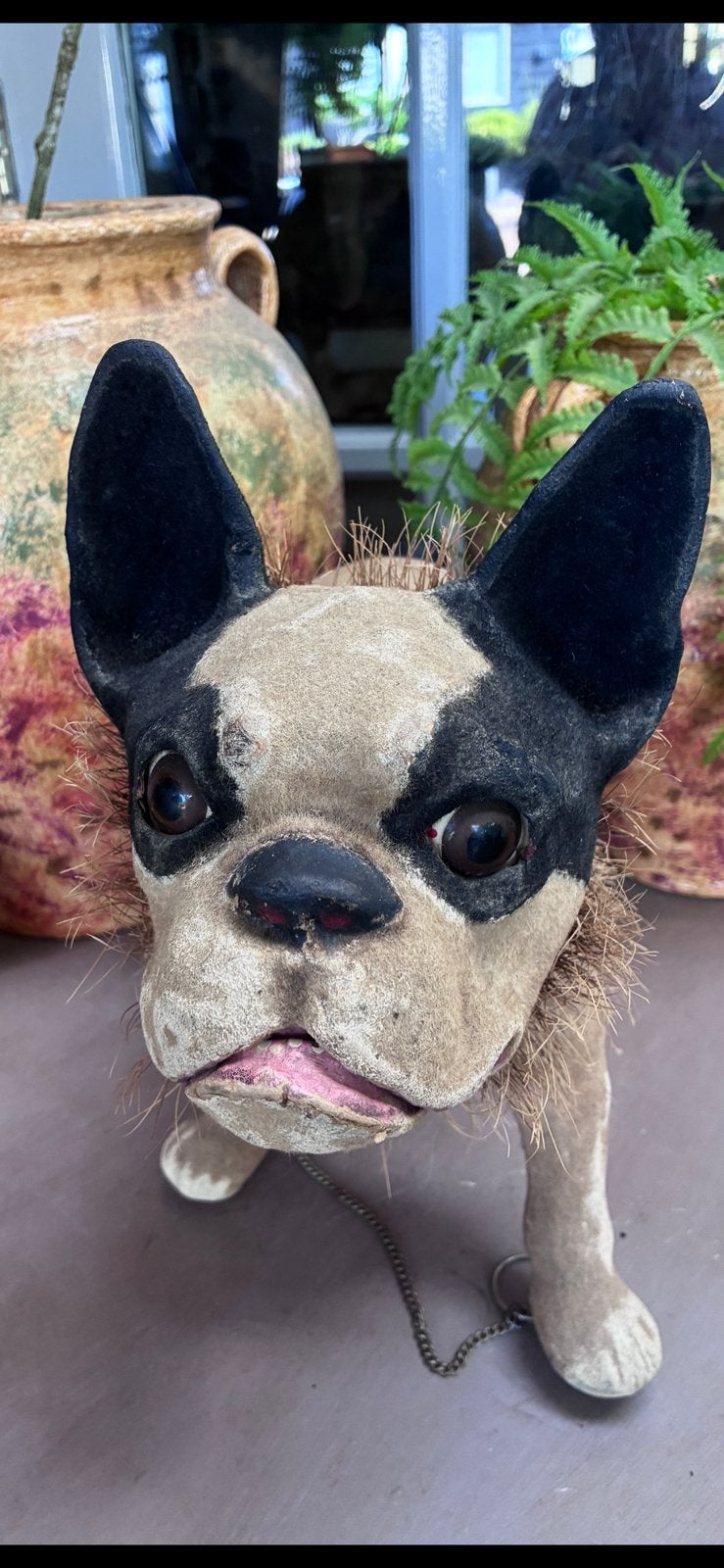 Franse Bulldog Growler, Ophalen of Verzenden