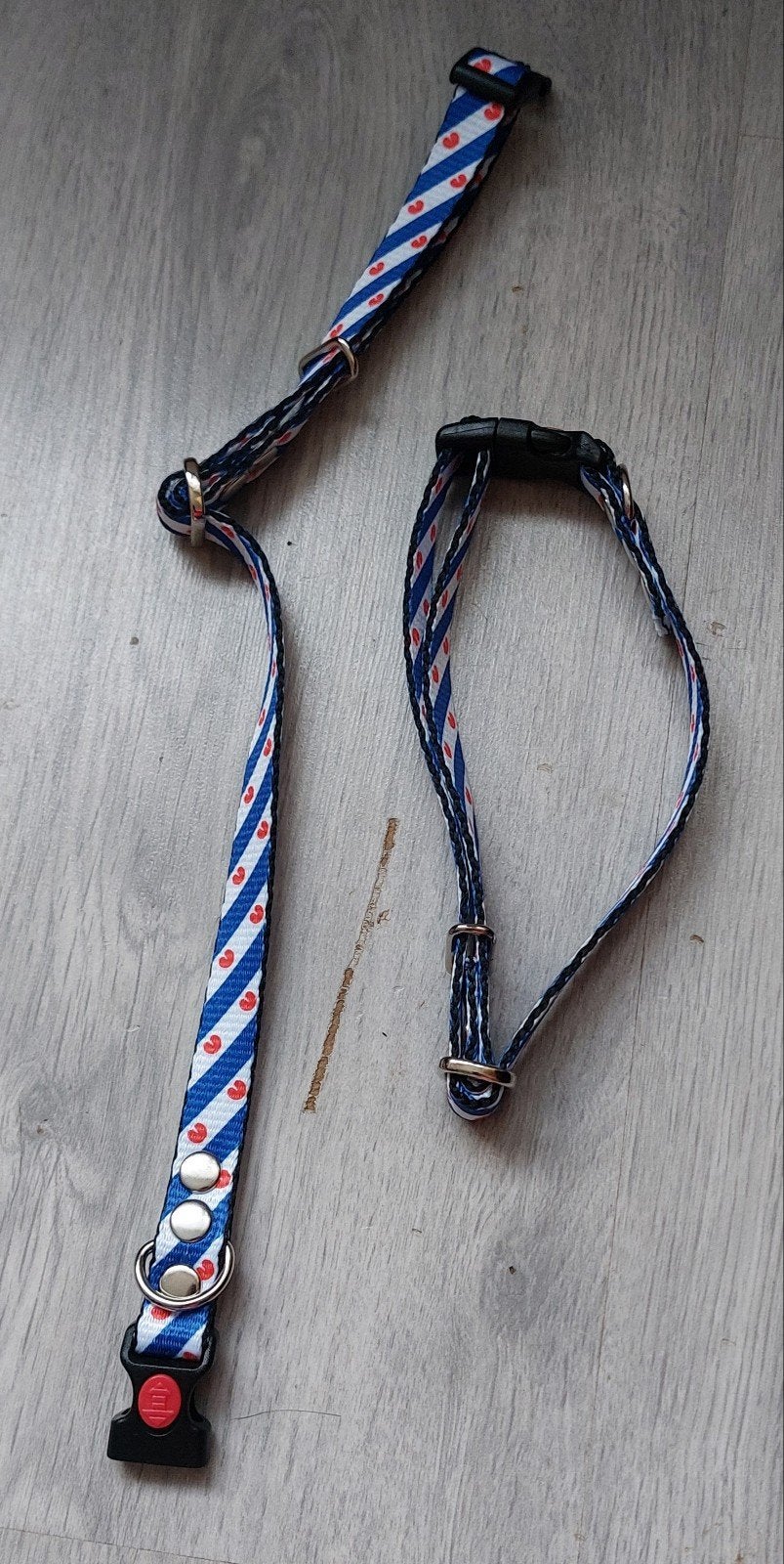 Friese honden halsband 30-45, Ophalen, Nieuw