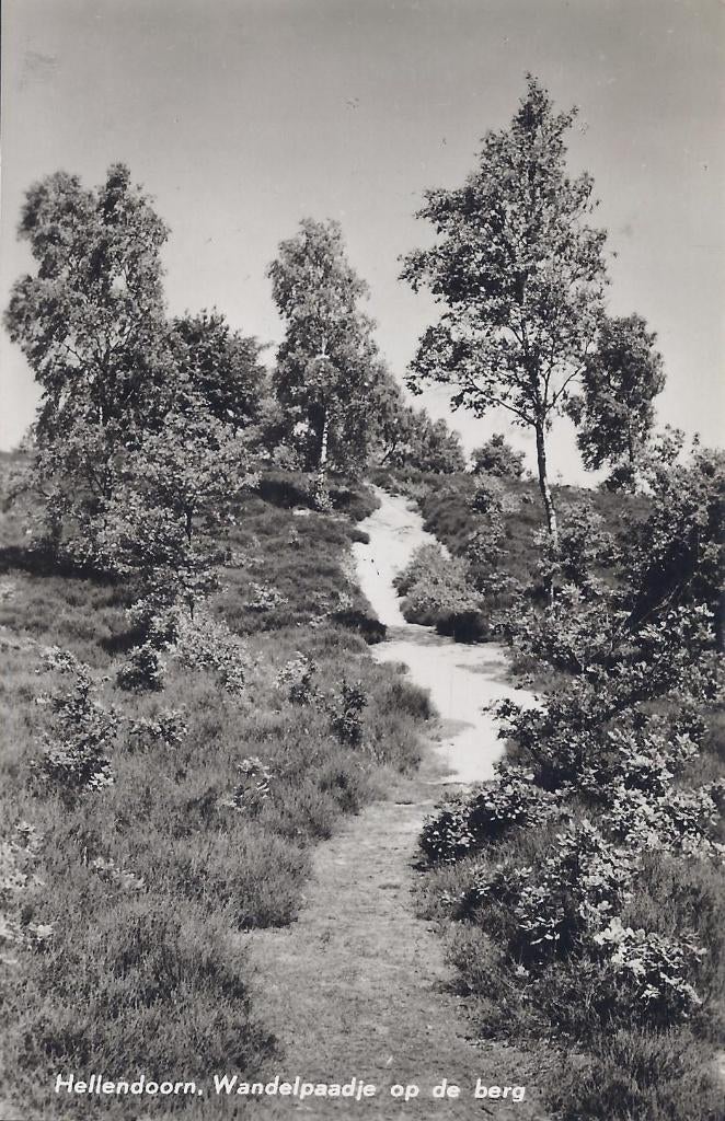Hellendoorn Wandelpaadje Oude Gelopen Ansichtkaart B1103, Ophalen of Verzenden, 1960 tot 1980, Gelopen, Overijssel