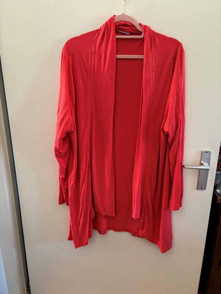 Dameskleding, grote maten, mag weg voor 5 euro per stuk, Kleding | Dames, Grote Maten, Ophalen of Verzenden, Zo goed als nieuw