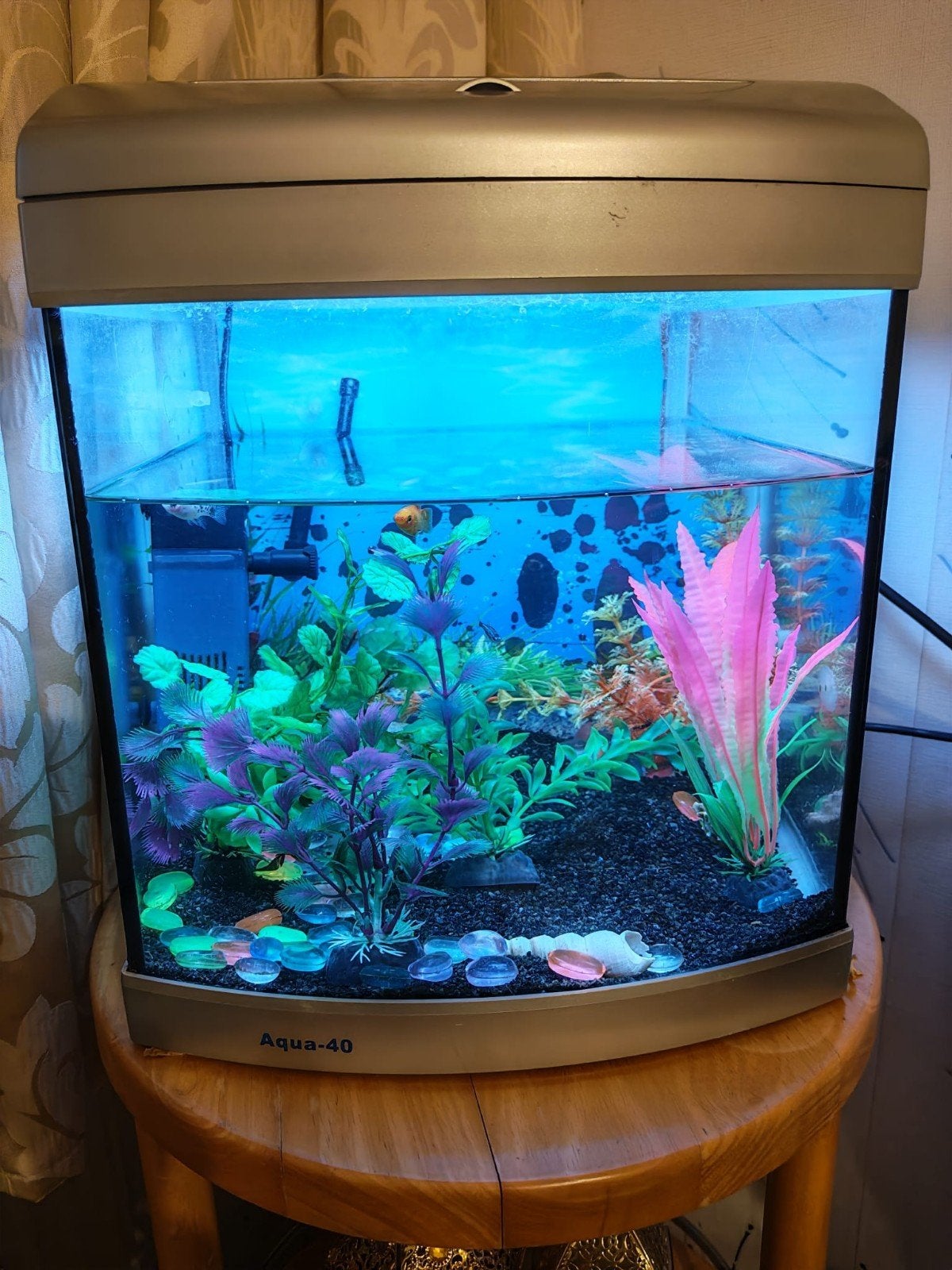., Ophalen of Verzenden, Zo goed als nieuw, Leeg aquarium
